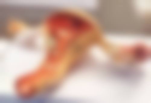 四、广州天姿医学美容郑铁南医生坐诊医院