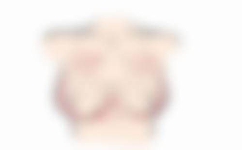 五、青岛伊美尔国宾整形外科医院收费价格表