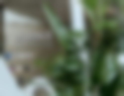 二、宁波海曙星面容医疗美容诊所正规吗？来看医院资质信息