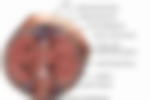 个人体质对隆胸成效的影响