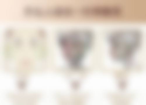 三、广州瑞美医疗美容黄艳红医生资质信息