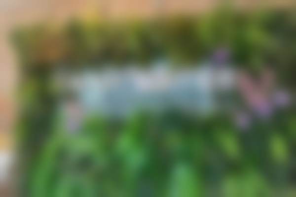 四、南昌红谷滩兰积医疗美容诊所特色项目