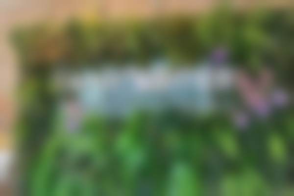 五、南昌红谷滩兰积医疗美容诊所收费价格表