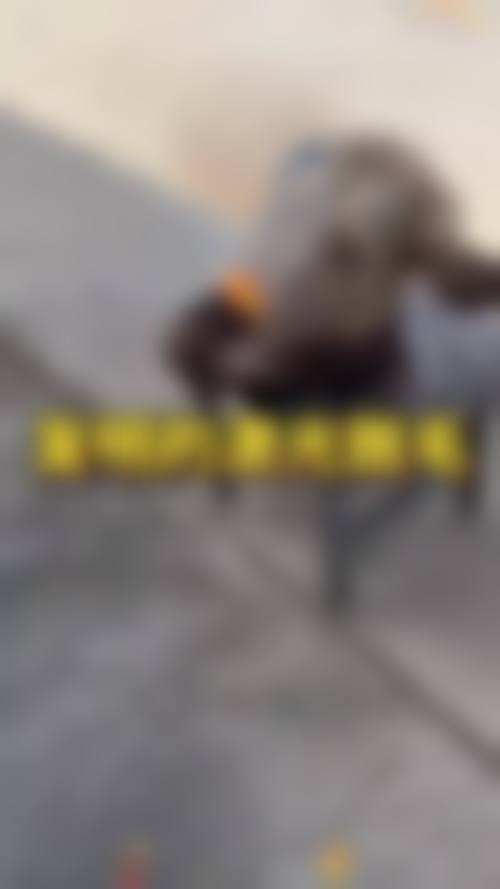 七、丽珈医疗美容门诊部地址电话及营业时间