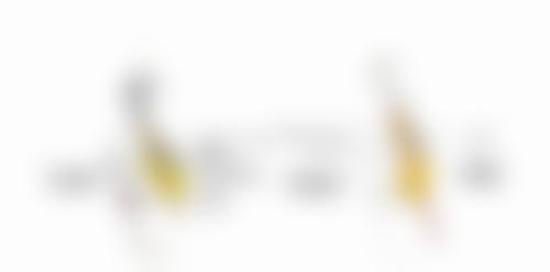 二、北京大麦植发(原科发源)李世俊医生擅长项目