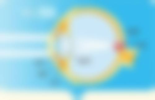 自体隆胸能维持多长时间?脂肪存活是关键