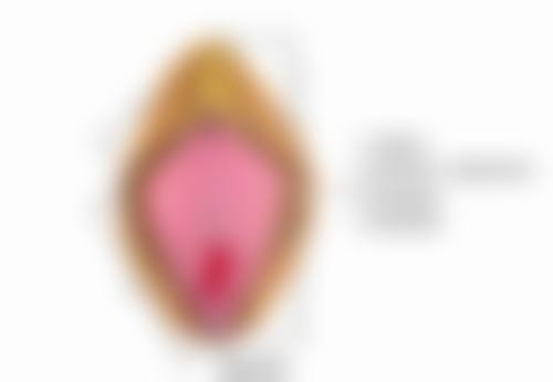 涂什么可以淡化疤痕黑色素？氢醌、维E等药膏有招，日常护理也关键，一文全了解！ 