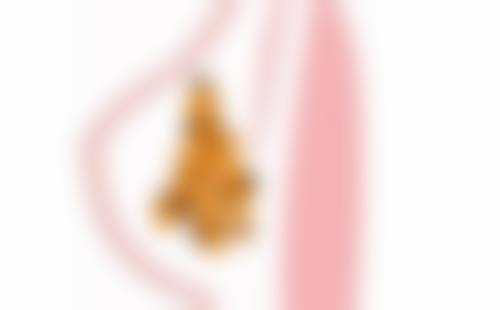 三、武汉华美毛发移植牛淑萍医生资质信息