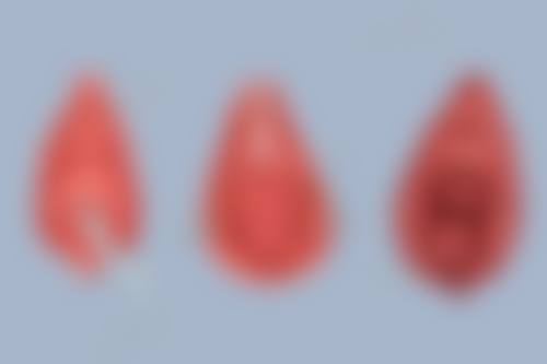 三、涪城医而美宋曰强医生资质信息