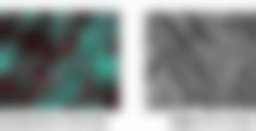 七、郑州惠美医疗美容谢峰医生怎么预约？