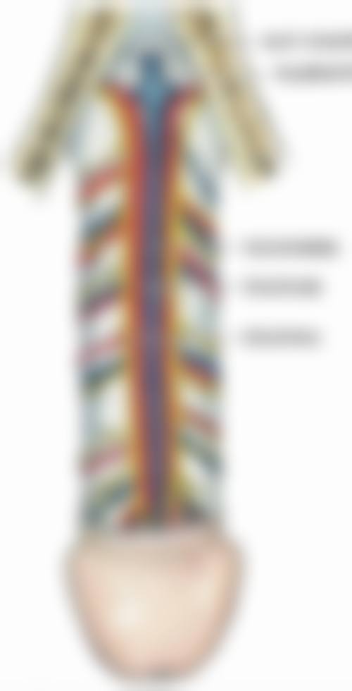 四、上海科妍希尔整形医院特色项目