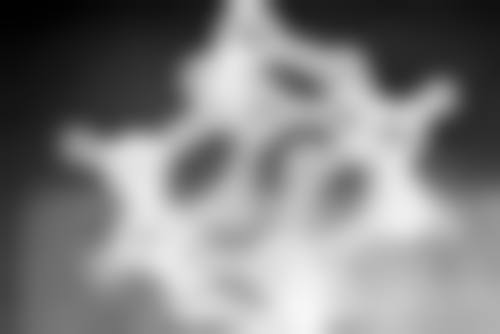 七、吉林瑞澳医学美容井明医生怎么预约？