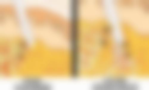 二、吉林瑞澳医学美容罗钫方医生擅长项目