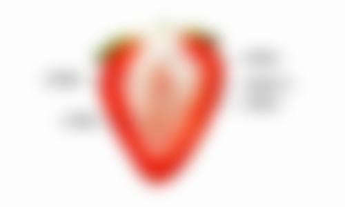 四、吉林瑞澳医学美容罗钫方医生坐诊医院