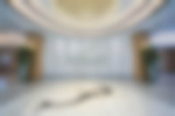 七、武汉美莱医疗美容张雨医生怎么预约？