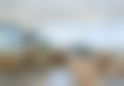 三、重庆星荣整形外科赵静梅医生资质信息