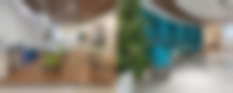 黄金超光子+嗨体2.5ML项目的服务内容及补贴