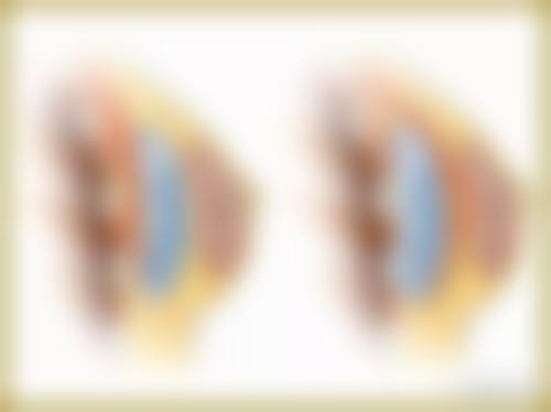 三、东莞科医能医疗美容医生介绍