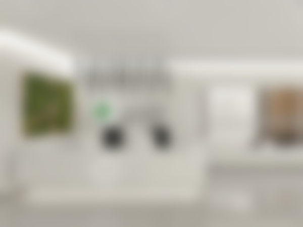 刘世民：耐心细致的整形医师