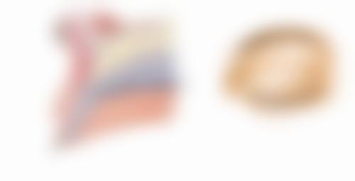 六、昆明圣美医疗美容诊所口碑如何？