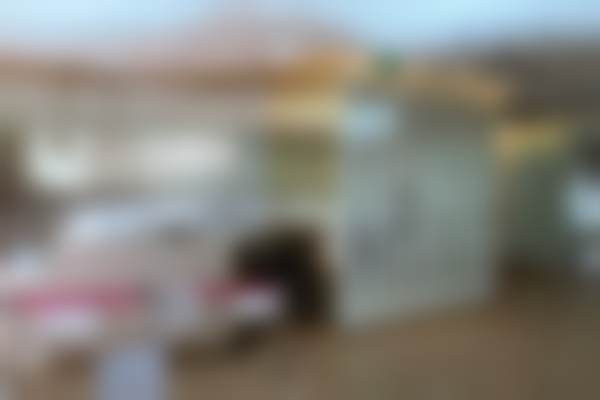 三、上海爱尚丽格杜园园医生资质信息