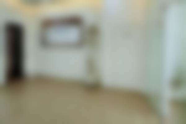 二、上海爱尚丽格杜园园医生擅长项目