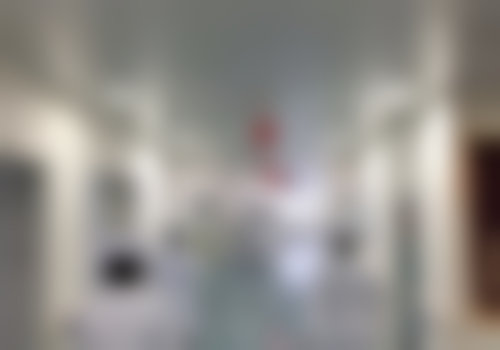 四、武汉大学人民医院整形科特色项目