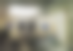 二、深圳米兰柏羽陈国荣医生擅长项目