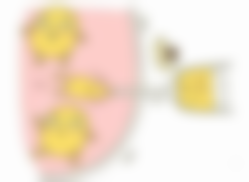 患者状况对全身抽脂手术时间的影响