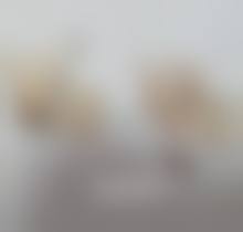 二、俞安娜医生擅长项目