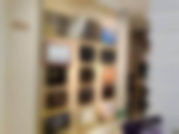 二、沈阳名流医疗美容黎楠医生擅长项目