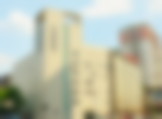 二、成都艺星朱紫婷医生擅长项目