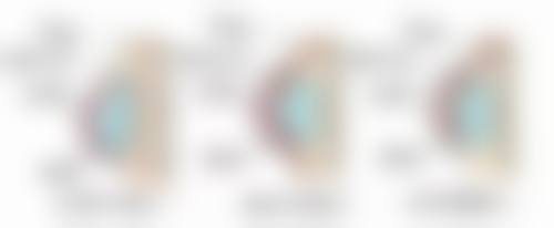 三、天津紫宸星菲全猛医生资质信息