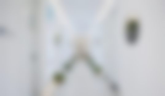 手术吸脂（WSZC单部位）项目价格