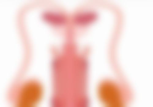 手术过程差异：操作难度与风险评估