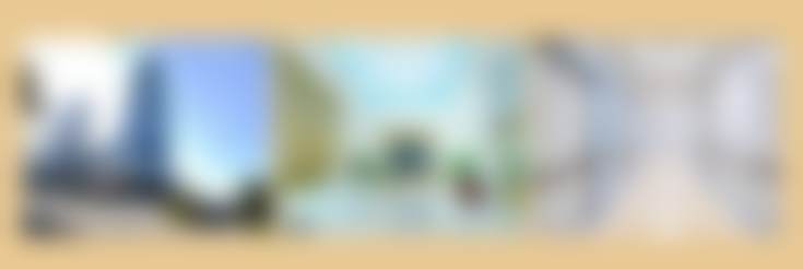 四、重庆星荣整形外科刘正茂医生坐诊医院