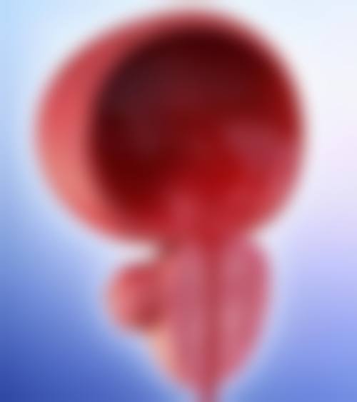 七、TCB 富山地址电话及营业时间