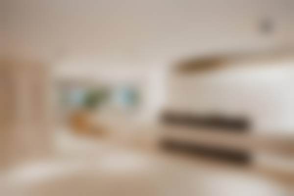 二、上海艺星时尚医疗美容(浦东陆家嘴)张玲医生擅长项目