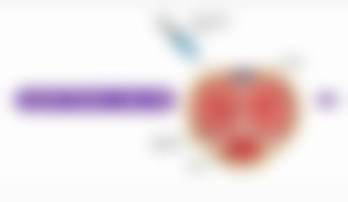 四、柳东熙医生坐诊医院