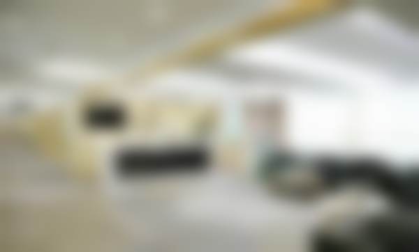 三、上海华美医疗美容张进医生资质信息