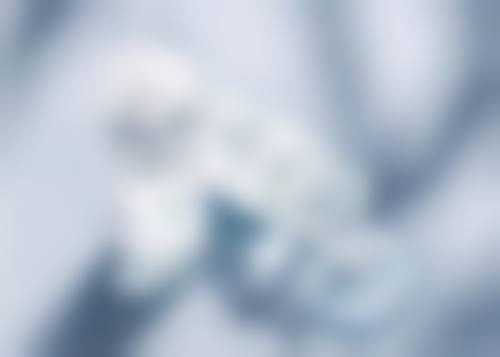 二、李素英医生擅长项目