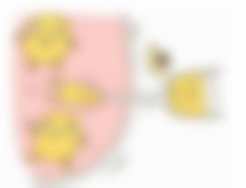 二、郑州陇海医院整形科正规吗？来看医院资质信息