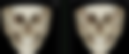 三、上海智美颜和杨欣融医生资质信息