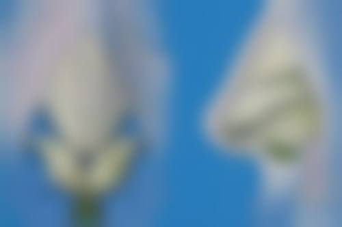 三、上海瑞芙臣整形范小龙医生资质信息