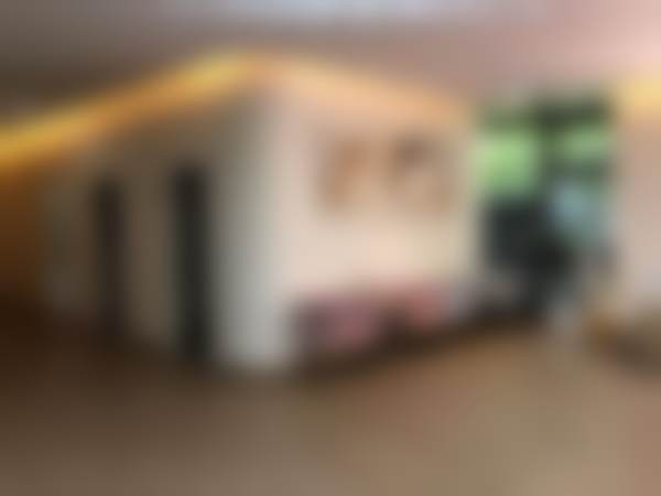 从业经验与成功实例