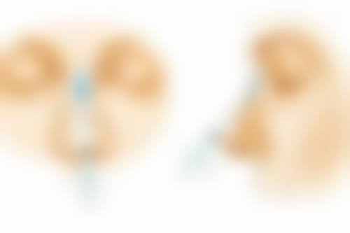 四、天津市河西英瑞齿科整形（小白楼店）特色项目