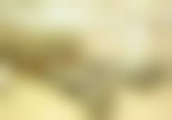 三、沈阳名流医疗美容韩峰医生资质信息