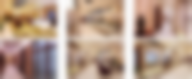 二、北京米兰柏羽丽都高海燕医生擅长项目