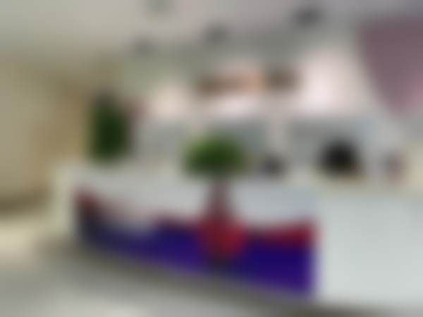 二、广州美莱医疗美容黎小间医生擅长项目