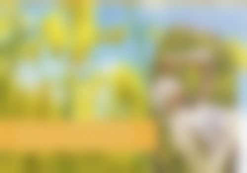 三、丹东富雅华医刘东军 医生资质信息